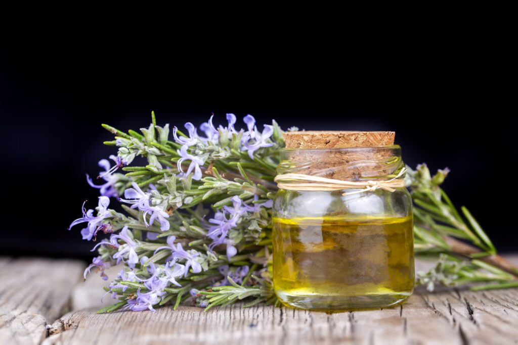 Fresh organic rosemary with essential oil